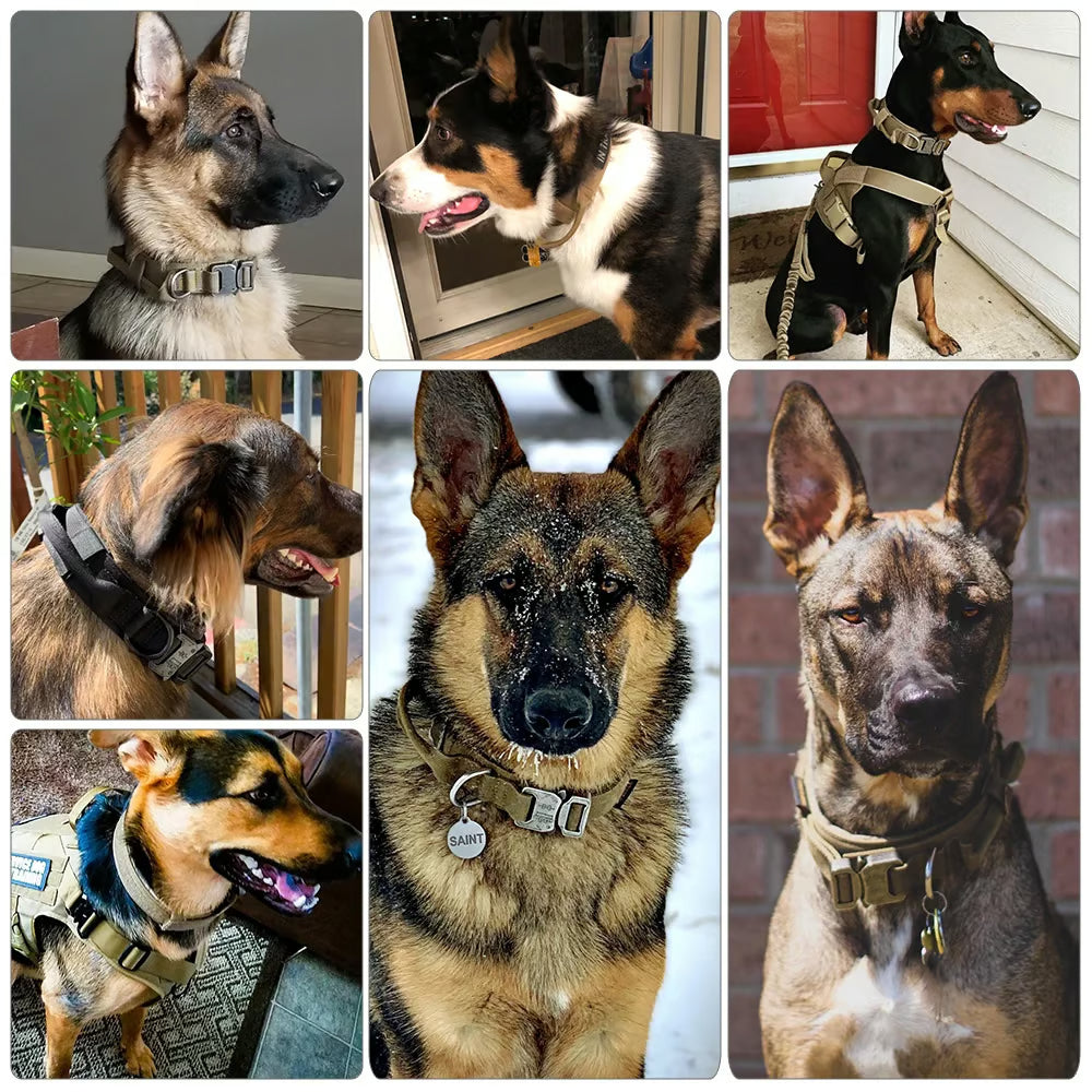 Adjustable dog collar