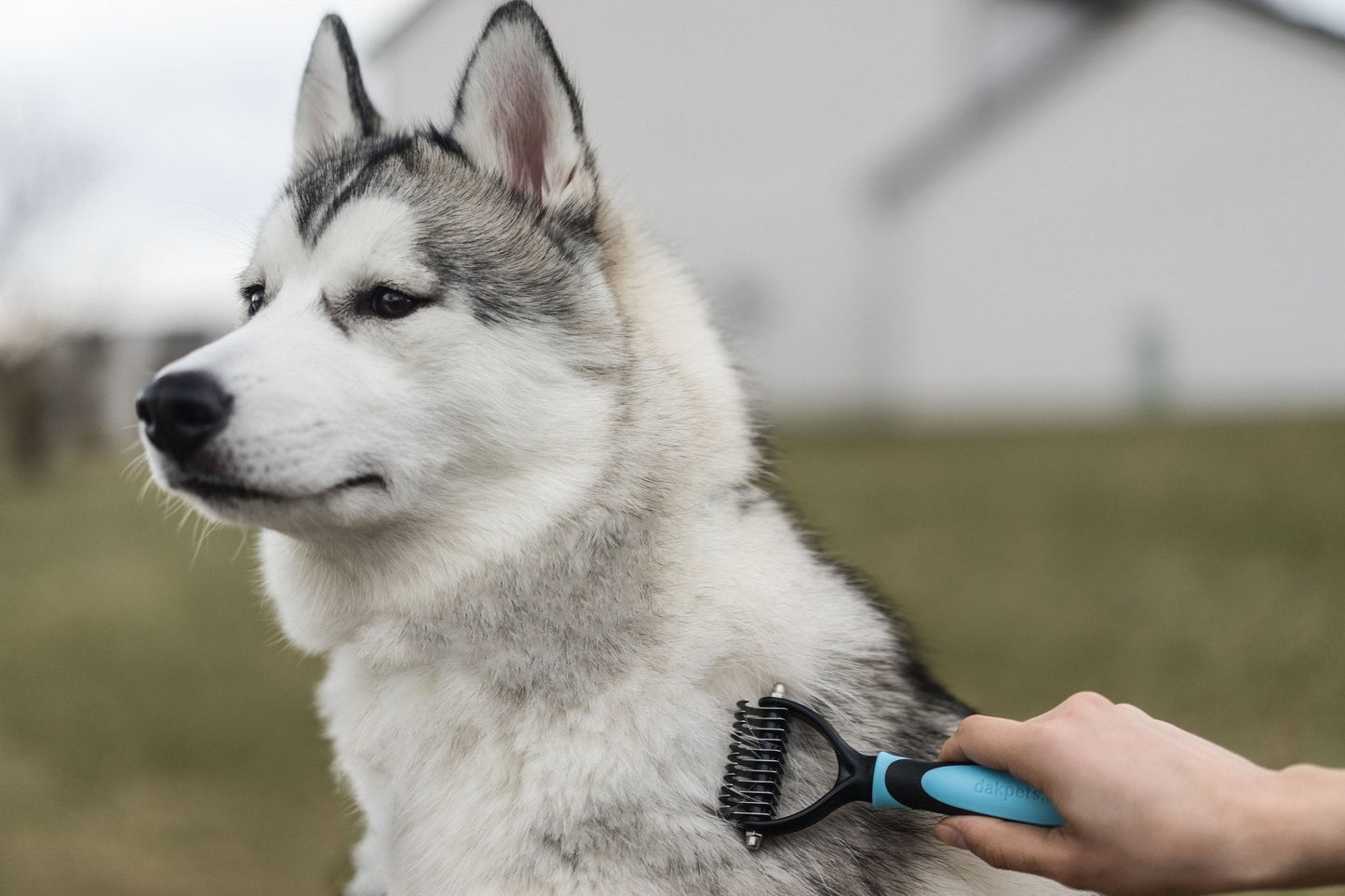 Professional Pet Grooming Comb